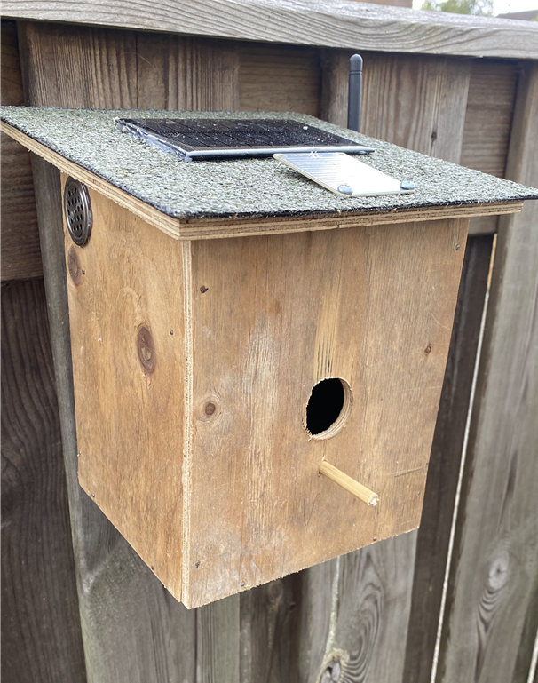 What the birdhouse will eventually look like